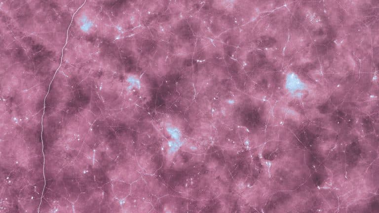 aaron-burden-V6nzK_QYN4g-unsplash